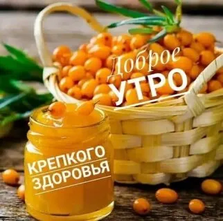 Фотографии для энергичного и здорового утра