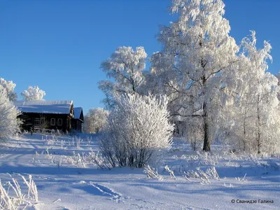 Утренние пейзажи зимнего волшебства