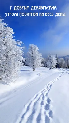 Фото в декабре: красота зимы в HD качестве