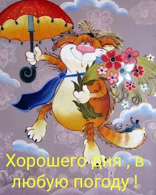 Фото в формате JPG, PNG, WebP для скачивания