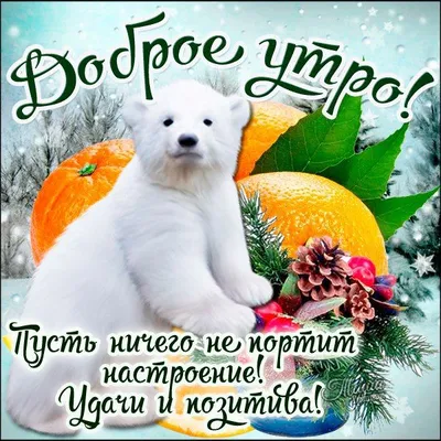 Улыбнитесь вместе с нами!