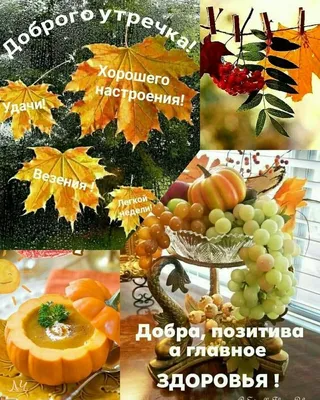 Фотки, чтобы поднять настроение