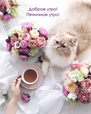 Утренние фото, чтобы вдохновиться на новые достижения.