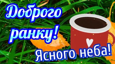 Утренние фото: начни день с улыбки!