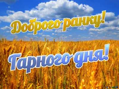 Доброе утро! Фото, чтобы вдохновиться!