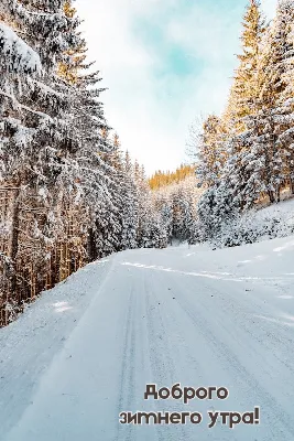 Фотографии зимнего утра