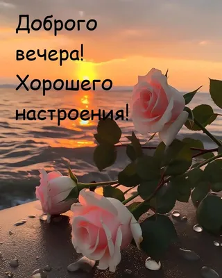 Фотографии, вдохновляющие на спокойный вечер