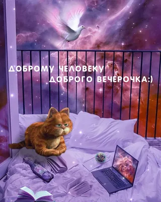 Уютные моменты на фото для приятного вечера