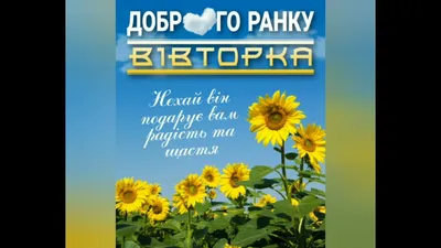 Доброго вівторка картинки: прекрасные фотографии для радостного утра