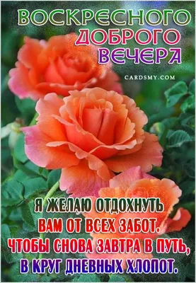 Визуальные впечатления для вашего воскресного вечера.