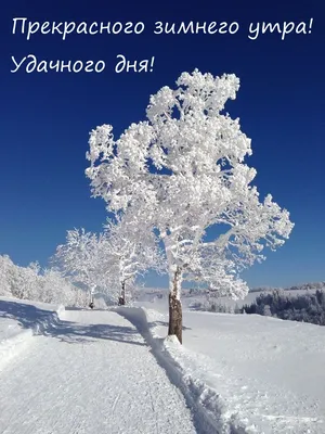 Фото Доброго зимнего дня картинки в WebP формате
