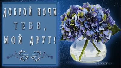 Доброй ночи, подруга! Уютные фото для вечернего просмотра