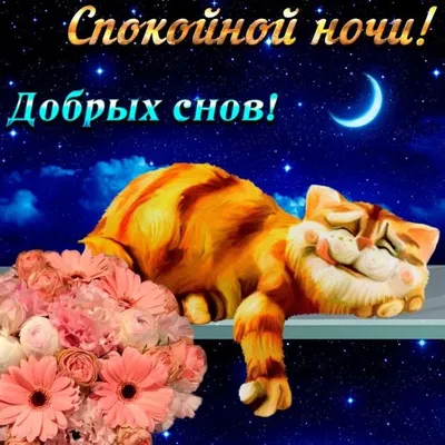 Волшебные моменты перед сном