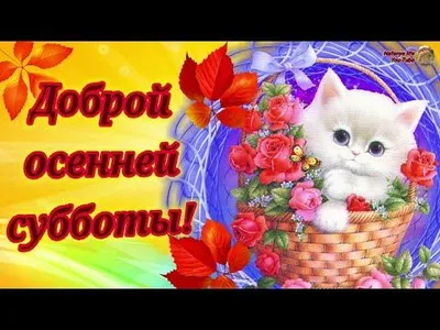 Новые фото Доброй осенней субботы в формате JPG, PNG, WebP