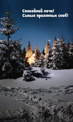 Скачать бесплатно новые фото Доброй зимней ночи