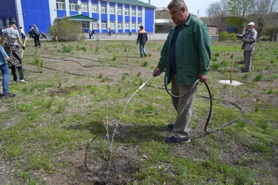 Фото, которые наполняют сердце теплотой: добрые дела в природе