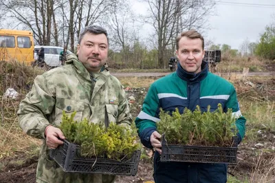 Фотографии, которые вызывают улыбку: добрые поступки в природе