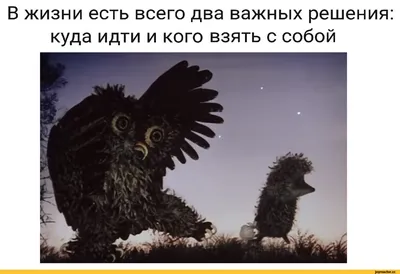 Фотографии, чтобы вас вдохновить