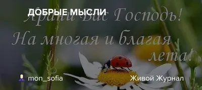 Фотографии, чтобы почувствовать любовь