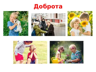 Фотографии добрых поступков 2024 года