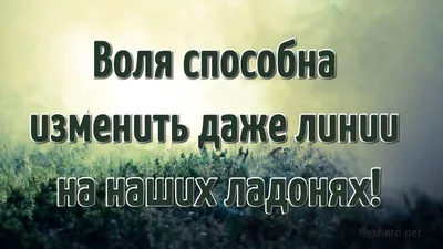 Картинки с добрыми статусами: визуальная радость и позитивные высказывания