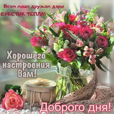 Фото в формате WebP