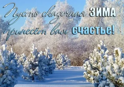 Добрый день зима: Отражение морозной красоты в формате WebP