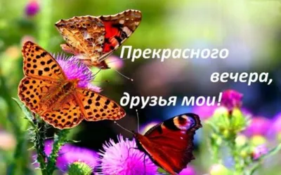 Фотографии, олицетворяющие умиротворение вечера