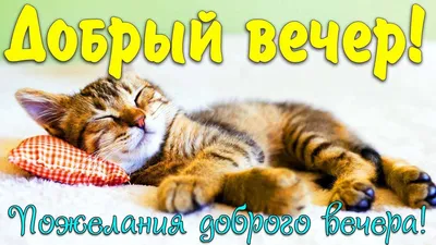 Фотографии, которые придают особую магию вечеру.