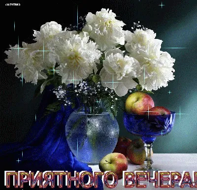 Смешные изображения для веселого вечера