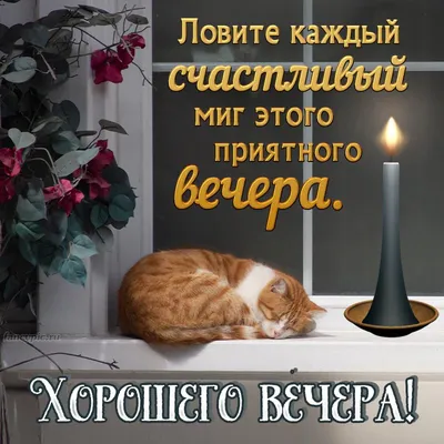 Вечерние пейзажи, которые заставят задуматься