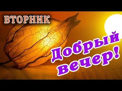 Скачать бесплатно картинки в формате JPG, PNG, WebP