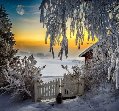 Добрый вечер, зимний вечер: Фото и картинки для всех