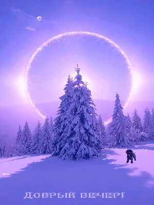 Зимний вечер в стиле WebP: Скачайте красивые изображения