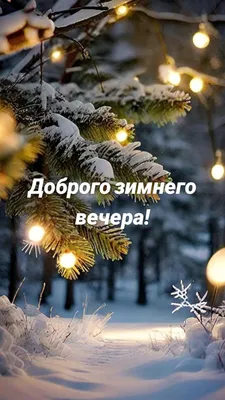 Фото веб-формата webp с зимним вечером