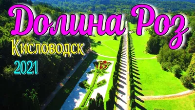 Уникальные фотографии роз Долина роз Кисловодск