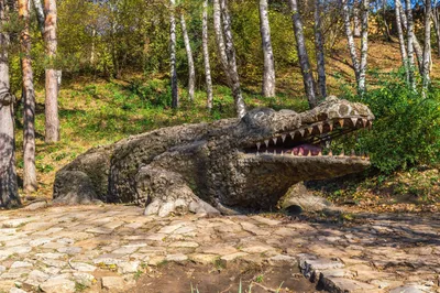 Фотографии роз высокого качества в Долине роз