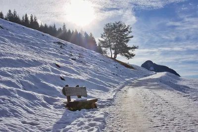 Бескрайний снег: Изображения Доломитовых альп зимой