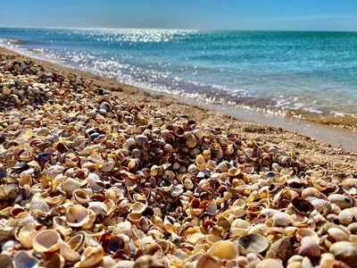Пляж Должанская: место для вдохновенных фотосессий