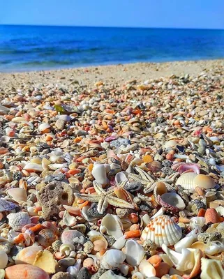 Фотографии Должанского пляжа 2024 года