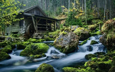 Оазис спокойствия: Фотография дома в окружении реки