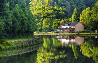 Фото с озером: открой для себя прекрасное сочетание воды и озеленения.