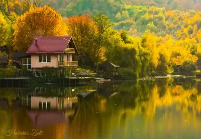 Дом у реки фотографии