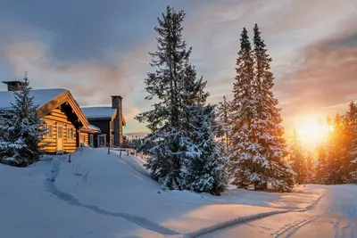 Уютный зимний пейзаж дома в деревне