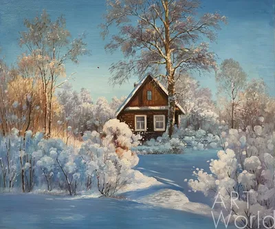 Зимний вид на дом в деревне