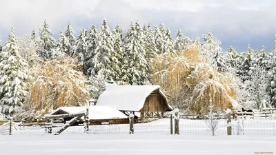 Дом в деревне зимой: загрузка в JPG, PNG, WebP