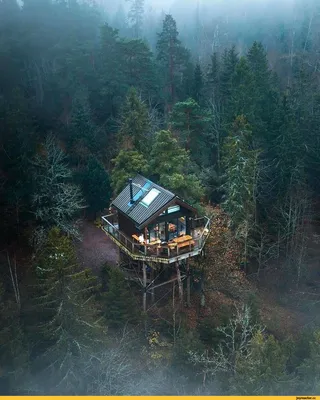 Фото леса с домом: прекрасная природа