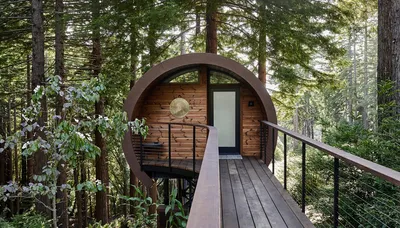 Фотография уютного домика в лесной глуши
