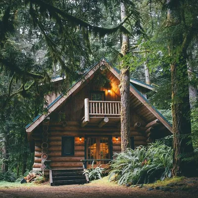 Волшебный уголок среди деревьев - качественные фото дома в лесу