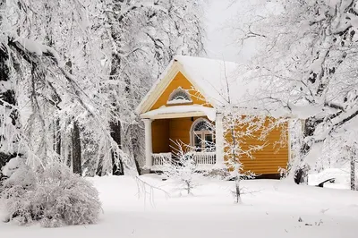 Арктическая атмосфера: Изображение зимнего дома в WebP